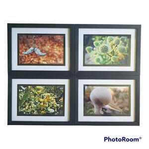 4 Pc. Nature Photography Set - Handmade
